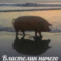 Streamer YUUZ avatar